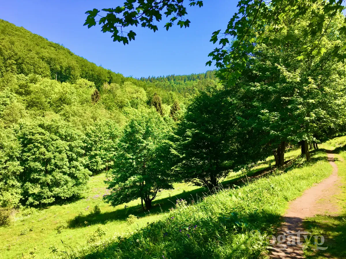 Eines Wanderers Weg vom Konzentrationslager über die Alpen nach Bosnien und Herzegowina