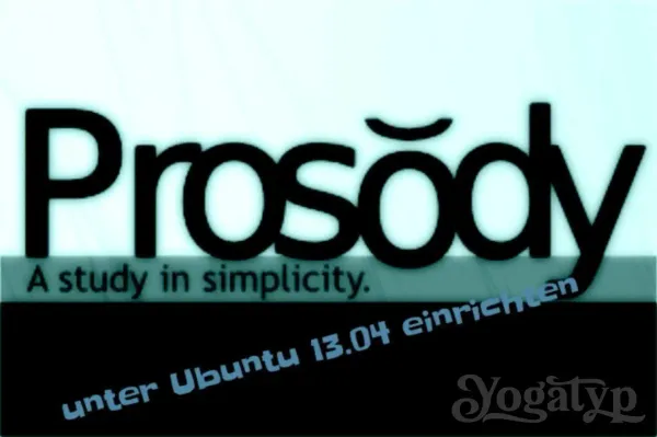 Prosody XMPP Server unter Ubuntu 13.04 einrichten